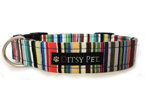 Joseph Dog Collar