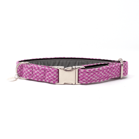 Pucci shop dog collar